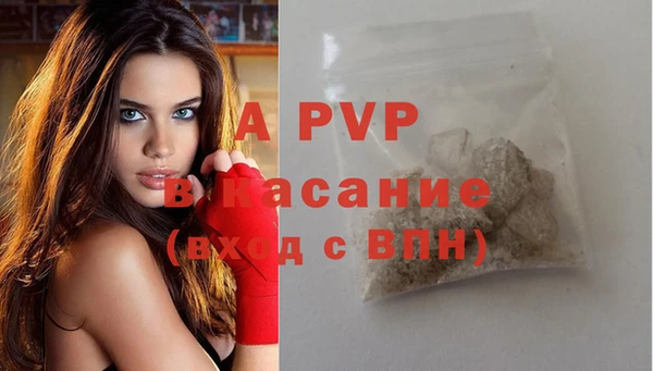 сатива Дмитриев