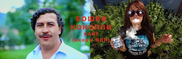тгк Дмитров