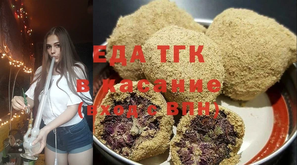 гашик Ельня