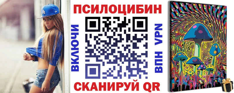 KRAKEN tor купить наркотики сайты Сусуман Галлюциногенные грибы Psilocybine cubensis